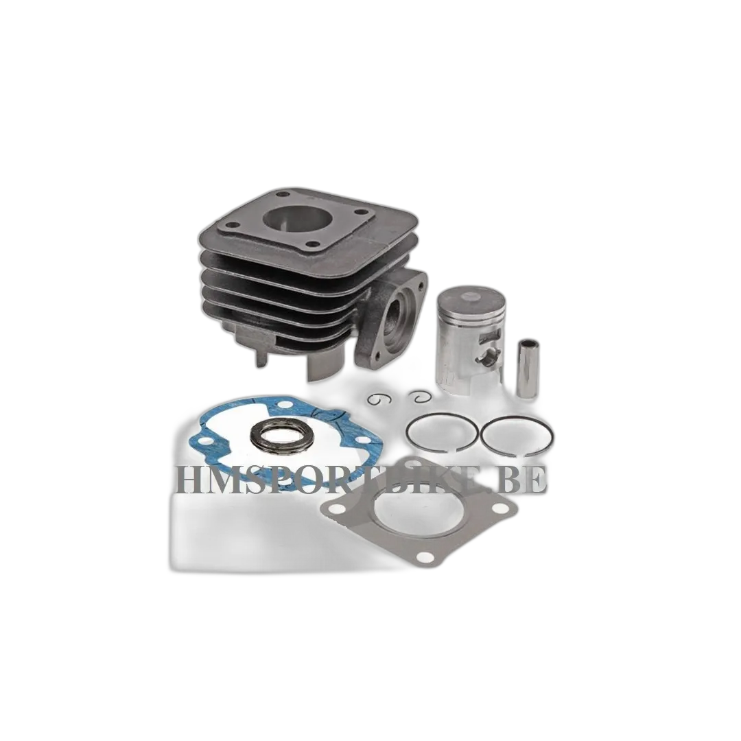 KIT PISTON STD DYNAM 2 / JET4 RP