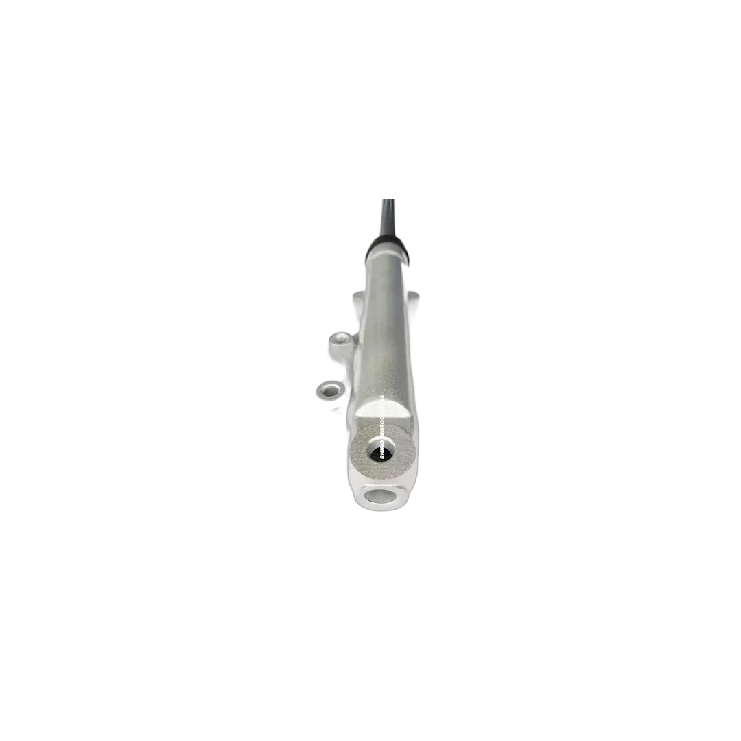 SUSPENSION IZQ GRIS 125EVO RP